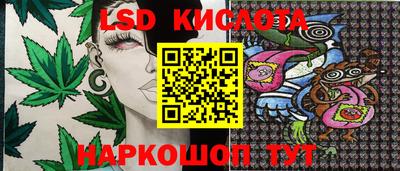 прущая мука Новодвинск