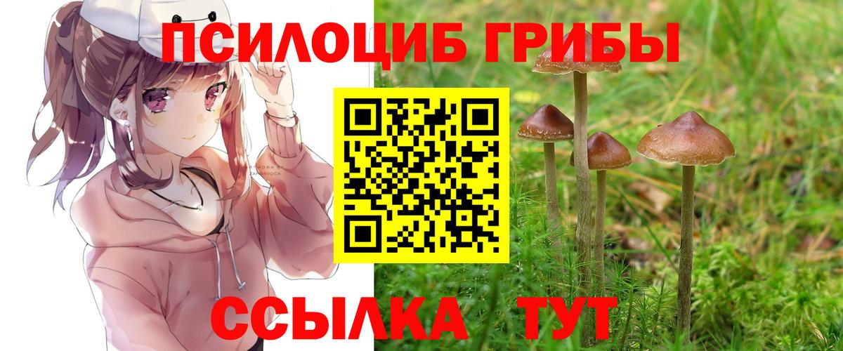 Галлюциногенные грибы Psilocybe Серпухов